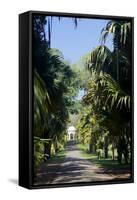 Royal Botanical Gardens, Peradeniya, Kandy, Sri Lanka, Asia-Simon Montgomery-Framed Stretched Canvas