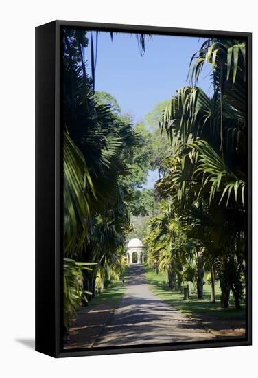 Royal Botanical Gardens, Peradeniya, Kandy, Sri Lanka, Asia-Simon Montgomery-Framed Stretched Canvas