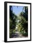 Royal Botanical Gardens, Peradeniya, Kandy, Sri Lanka, Asia-Simon Montgomery-Framed Photographic Print