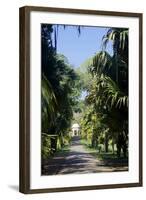 Royal Botanical Gardens, Peradeniya, Kandy, Sri Lanka, Asia-Simon Montgomery-Framed Photographic Print