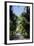 Royal Botanical Gardens, Peradeniya, Kandy, Sri Lanka, Asia-Simon Montgomery-Framed Photographic Print