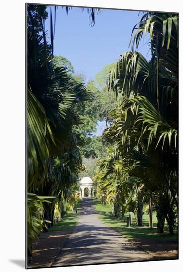Royal Botanical Gardens, Peradeniya, Kandy, Sri Lanka, Asia-Simon Montgomery-Mounted Photographic Print