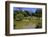 Royal Botanical Gardens, Peradeniya, Kandy, Sri Lanka, Asia-Simon Montgomery-Framed Photographic Print