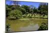 Royal Botanical Gardens, Peradeniya, Kandy, Sri Lanka, Asia-Simon Montgomery-Mounted Photographic Print