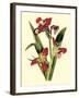 Royal Botanical Study II-B Cotton-Framed Art Print