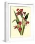 Royal Botanical Study II-B Cotton-Framed Art Print