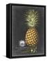 Royal Brookshaw Pineapple I-George Brookshaw-Framed Stretched Canvas