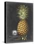 Royal Brookshaw Pineapple I-George Brookshaw-Stretched Canvas