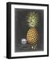 Royal Brookshaw Pineapple I-George Brookshaw-Framed Art Print