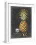 Royal Brookshaw Pineapple I-George Brookshaw-Framed Art Print