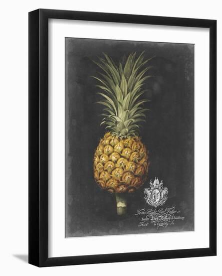 Royal Brookshaw Pineapple II-George Brookshaw-Framed Art Print