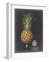 Royal Brookshaw Pineapple II-George Brookshaw-Framed Art Print