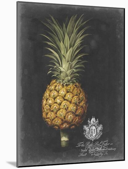 Royal Brookshaw Pineapple II-George Brookshaw-Mounted Art Print