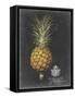 Royal Brookshaw Pineapple II-George Brookshaw-Framed Stretched Canvas