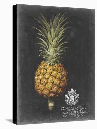 Royal Brookshaw Pineapple II-George Brookshaw-Stretched Canvas