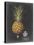 Royal Brookshaw Pineapple II-George Brookshaw-Stretched Canvas