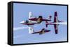 Royal Canadian Air Force Ct-114 Tutor Aircraft of the Snowbirds Display Team-null-Framed Stretched Canvas