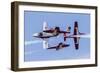 Royal Canadian Air Force Ct-114 Tutor Aircraft of the Snowbirds Display Team-null-Framed Premium Photographic Print