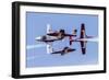 Royal Canadian Air Force Ct-114 Tutor Aircraft of the Snowbirds Display Team-null-Framed Premium Photographic Print