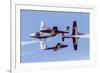 Royal Canadian Air Force Ct-114 Tutor Aircraft of the Snowbirds Display Team-null-Framed Premium Photographic Print