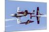 Royal Canadian Air Force Ct-114 Tutor Aircraft of the Snowbirds Display Team-null-Mounted Premium Photographic Print