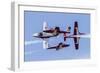 Royal Canadian Air Force Ct-114 Tutor Aircraft of the Snowbirds Display Team-null-Framed Photographic Print