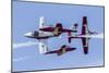 Royal Canadian Air Force Ct-114 Tutor Aircraft of the Snowbirds Display Team-null-Mounted Photographic Print