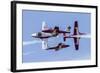 Royal Canadian Air Force Ct-114 Tutor Aircraft of the Snowbirds Display Team-null-Framed Photographic Print