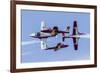 Royal Canadian Air Force Ct-114 Tutor Aircraft of the Snowbirds Display Team-null-Framed Photographic Print