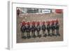 Royal Canadian Mounted Police at Calgary Stampede, Calgary, Alberta, Canada-null-Framed Art Print