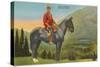 Royal Canadian Mounted Police-null-Stretched Canvas