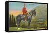 Royal Canadian Mounted Police-null-Framed Stretched Canvas