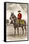 Royal Canadian Mounted Police-null-Framed Stretched Canvas