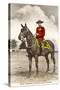 Royal Canadian Mounted Police-null-Stretched Canvas