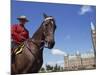 Royal Canadian Mounted Policeman Outside the Parliament Building in Ottawa, Ontario, Canada-Winter Timothy-Mounted Photographic Print