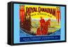 Royal Canadian Pale Ginger Ale-null-Framed Stretched Canvas