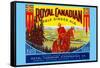 Royal Canadian Pale Ginger Ale-null-Framed Stretched Canvas