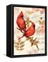 Royal Cardinals-Colleen Sarah-Framed Stretched Canvas