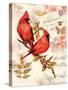 Royal Cardinals-Colleen Sarah-Stretched Canvas