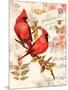 Royal Cardinals-Colleen Sarah-Mounted Art Print