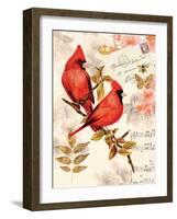 Royal Cardinals-Colleen Sarah-Framed Art Print