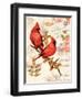 Royal Cardinals-Colleen Sarah-Framed Art Print