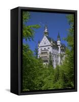 Royal Castle, Neuschwanstein, Bavaria, Germany, Europe-Gavin Hellier-Framed Stretched Canvas