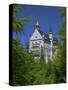 Royal Castle, Neuschwanstein, Bavaria, Germany, Europe-Gavin Hellier-Stretched Canvas