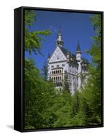 Royal Castle, Neuschwanstein, Bavaria, Germany, Europe-Gavin Hellier-Framed Stretched Canvas