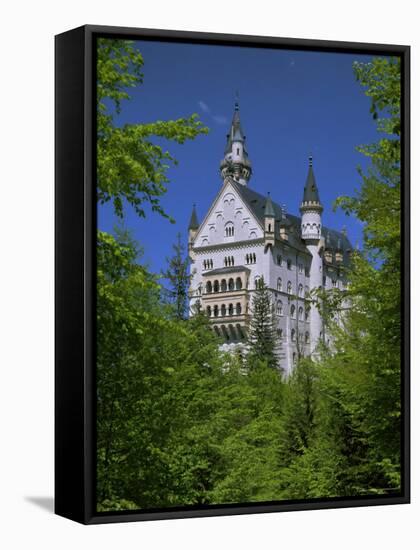 Royal Castle, Neuschwanstein, Bavaria, Germany, Europe-Gavin Hellier-Framed Stretched Canvas