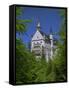 Royal Castle, Neuschwanstein, Bavaria, Germany, Europe-Gavin Hellier-Framed Stretched Canvas