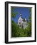 Royal Castle, Neuschwanstein, Bavaria, Germany, Europe-Gavin Hellier-Framed Photographic Print