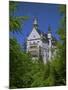 Royal Castle, Neuschwanstein, Bavaria, Germany, Europe-Gavin Hellier-Mounted Photographic Print