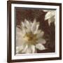 Royal Clematis I-Janel Pahl-Framed Giclee Print